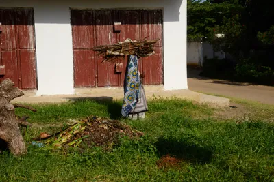 DSC_8435 (Large).JPG